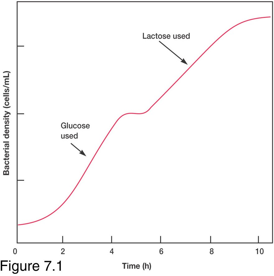 Solved The figure below shows the results of growing | Chegg.com