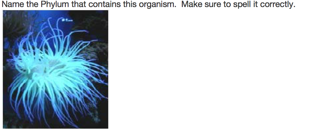 Solved Name the Phylum that contains ths organism. Make sure | Chegg.com