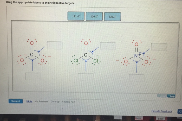 Solved Drag the appropriate labels to their respective | Chegg.com