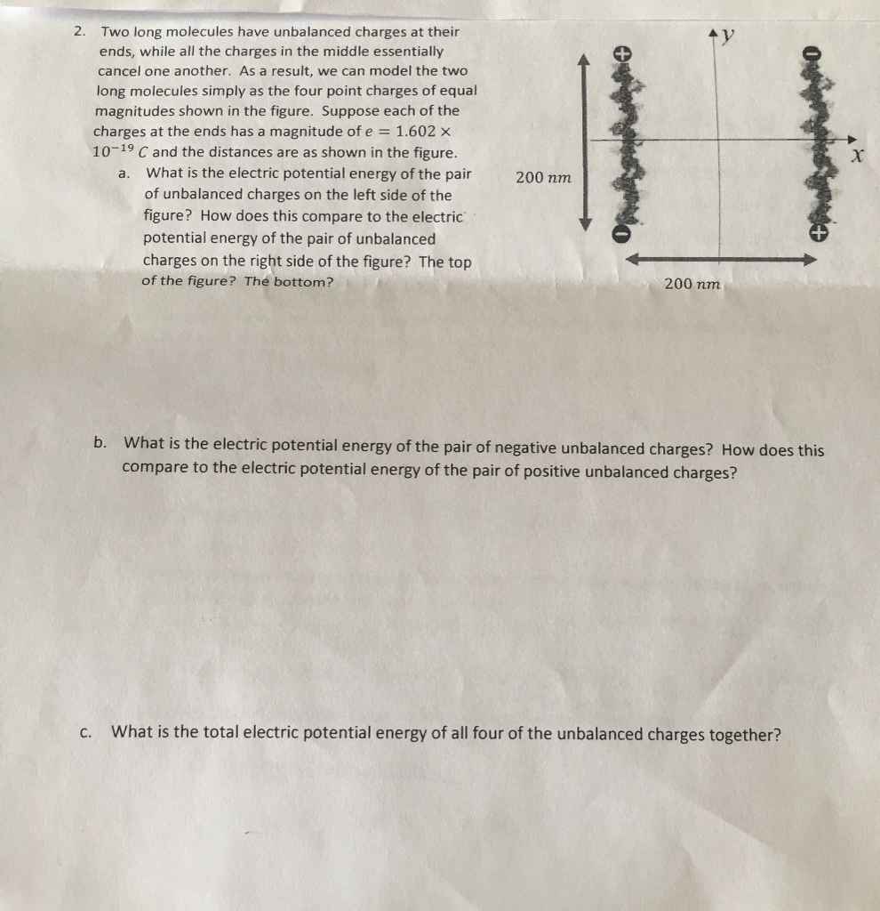 Solved Two long molecules have unbalanced charges at their