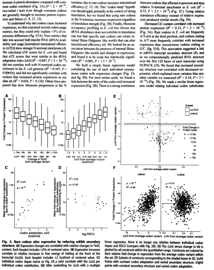 On Page 477 The Authors State Finally Ribosome Chegg