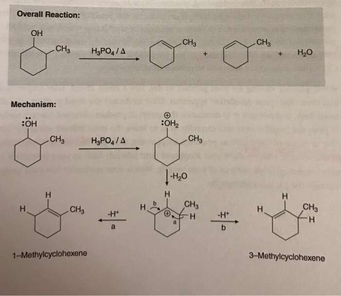 Solved A student performs a lab for the dehydration of