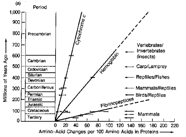 Solved This graph shows the rate of evolution in three | Chegg.com