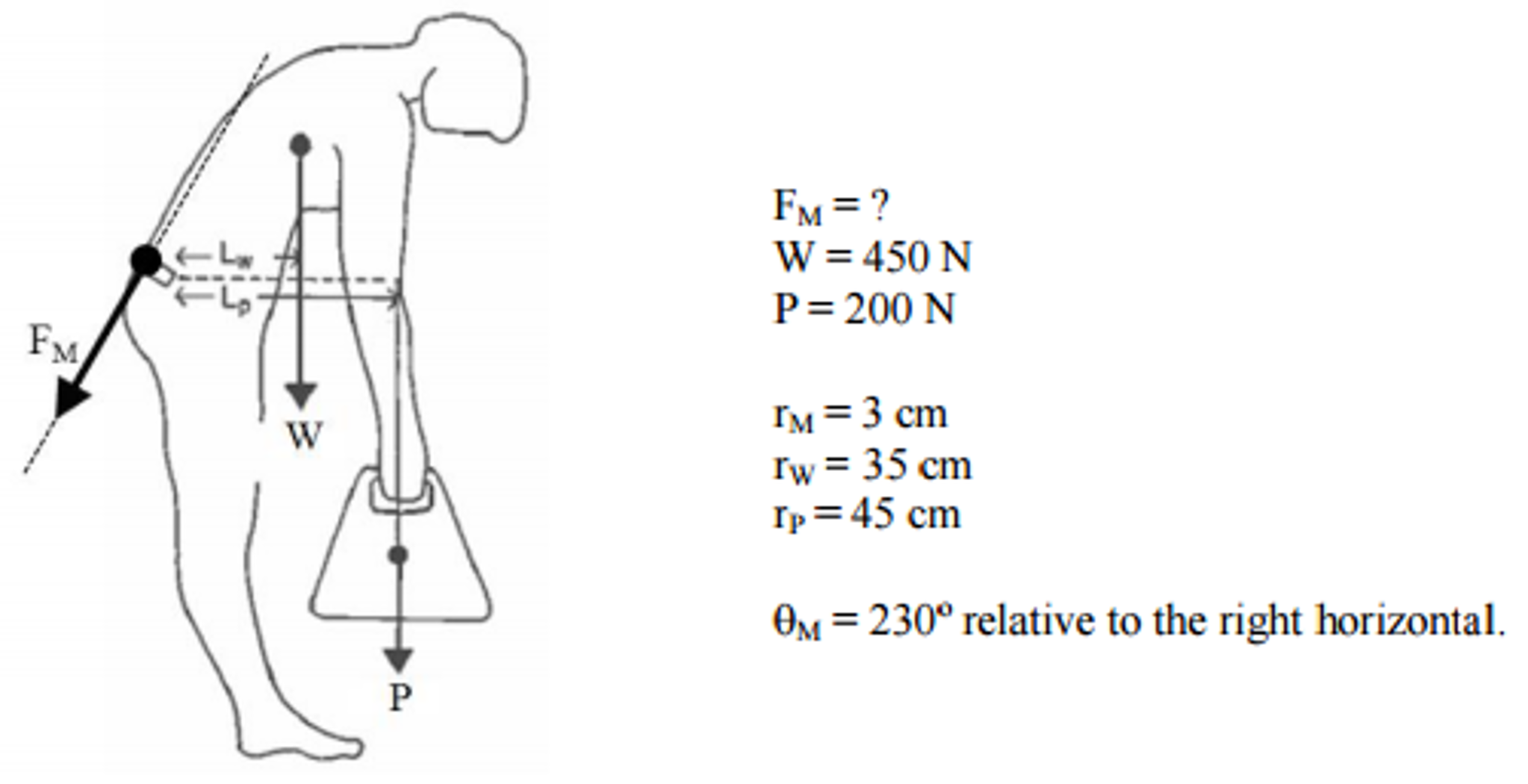 Solved When lifting a load from the floor it is imperative