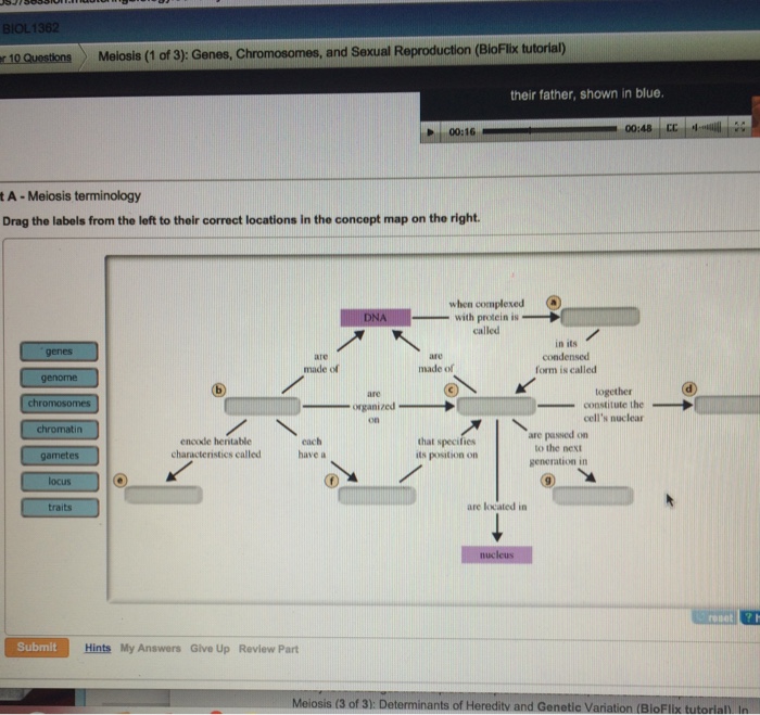 Drag The Labels From The Left To Their Correct Locations In The Concept