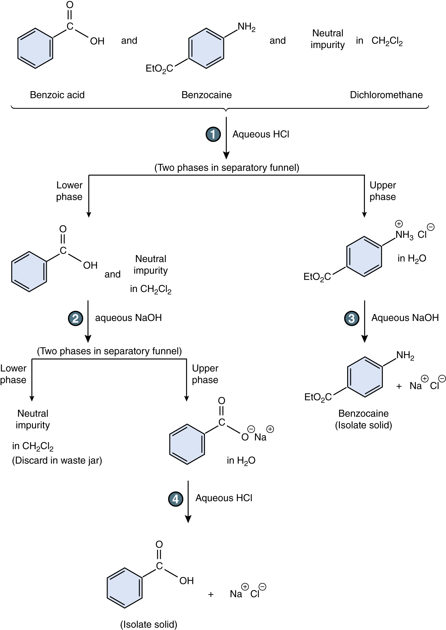Acid/Base Extraction of a Benzoic Acid, 4-Nitroaniline, and Naphthalene Mixture