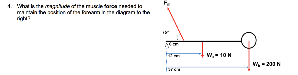 Solved Fm 4. What is the magnitude of the muscle force | Chegg.com