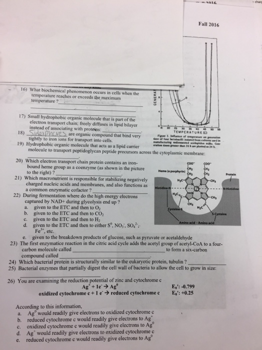 solved-what-biochemical-phenomenon-occur-in-cells-when-the-chegg