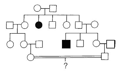 Solved The following pedigree describes a rare trait in | Chegg.com