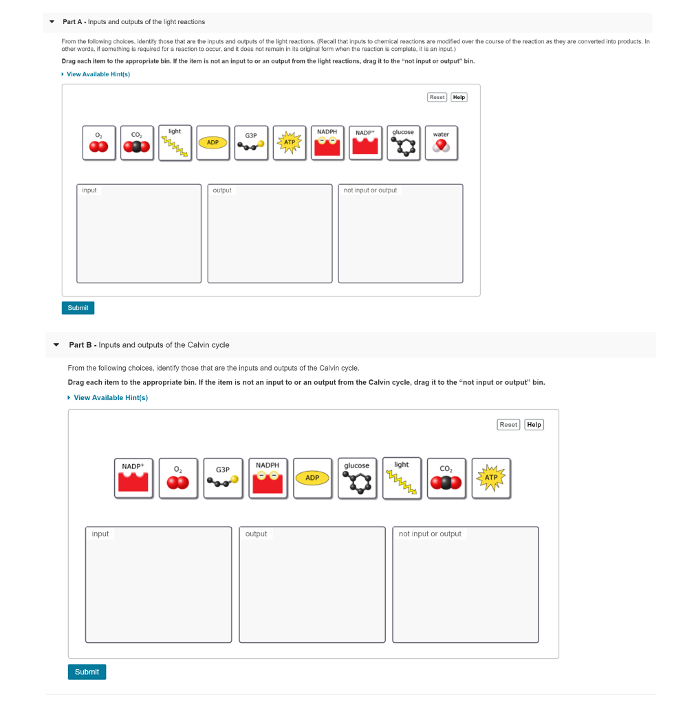 solved-part-a-inputs-and-outputs-of-the-light-reactions-chegg