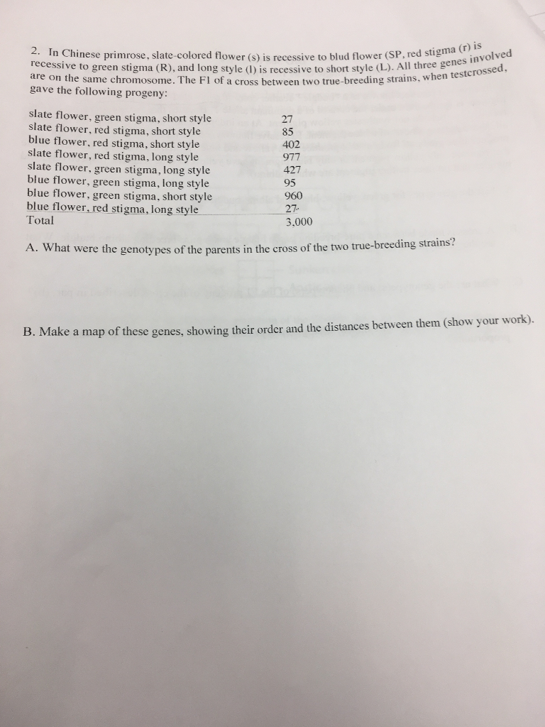 Solved 2. In Chinese primrose, slate colored flower (s) is