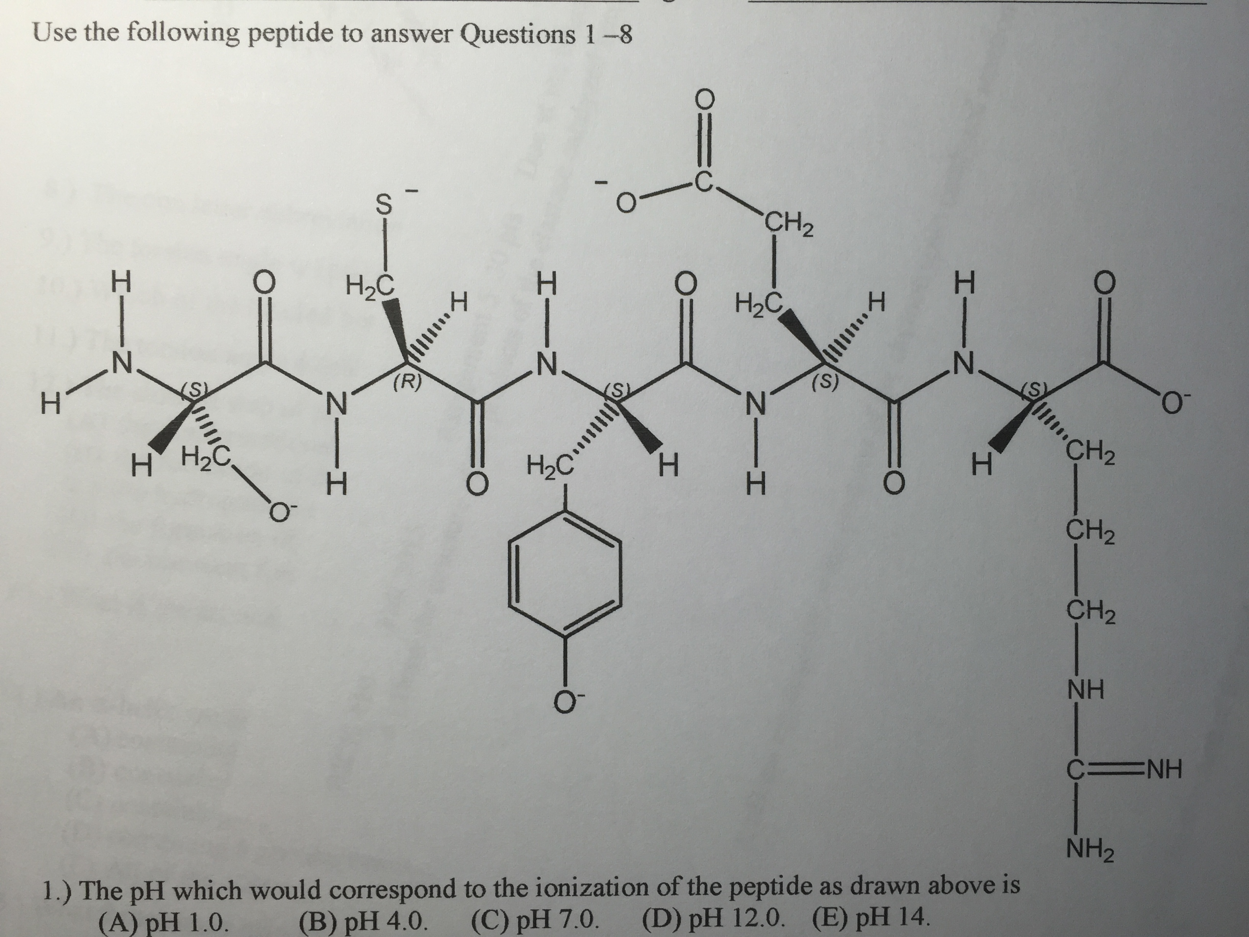 Solved Draw the structure of the products of the trypsin