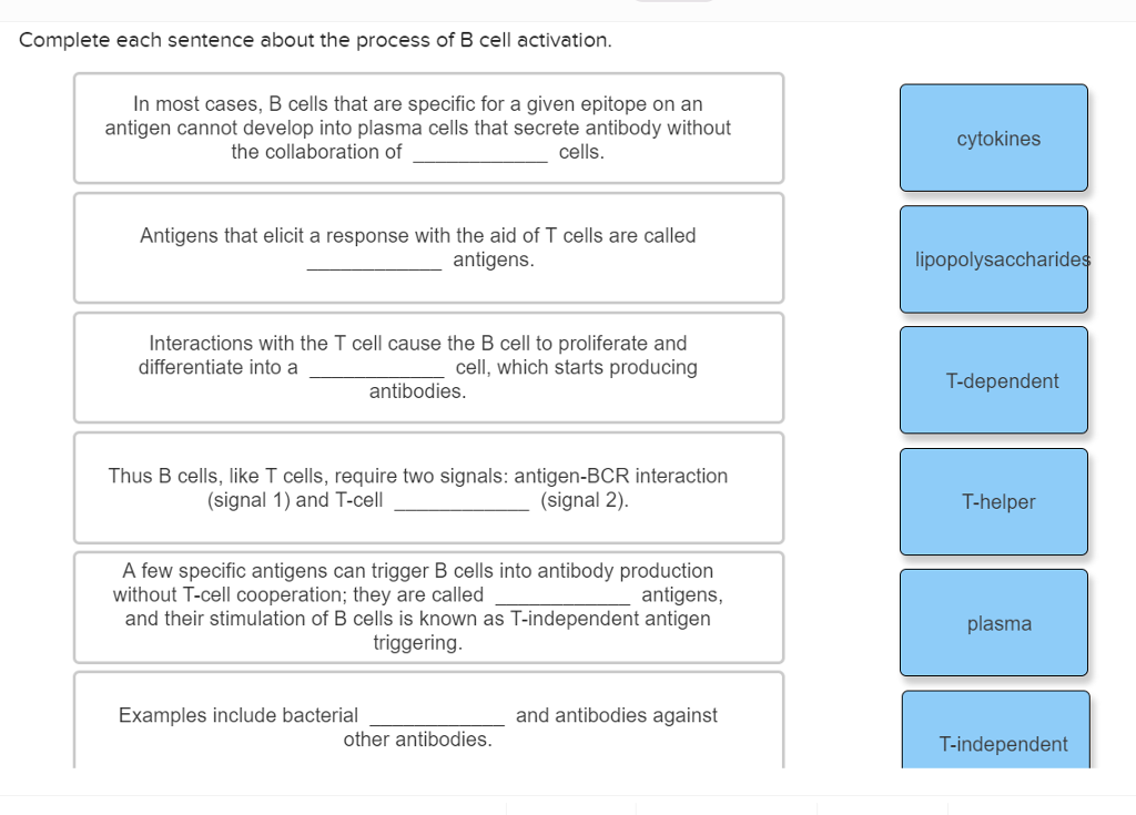 Solved Complete each sentence about the process of B cell