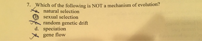Solved Which of the following is NOT a mechanism of | Chegg.com