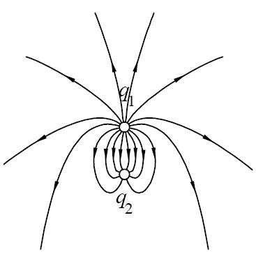 Solved The figure below shows the electric field lines for | Chegg.com