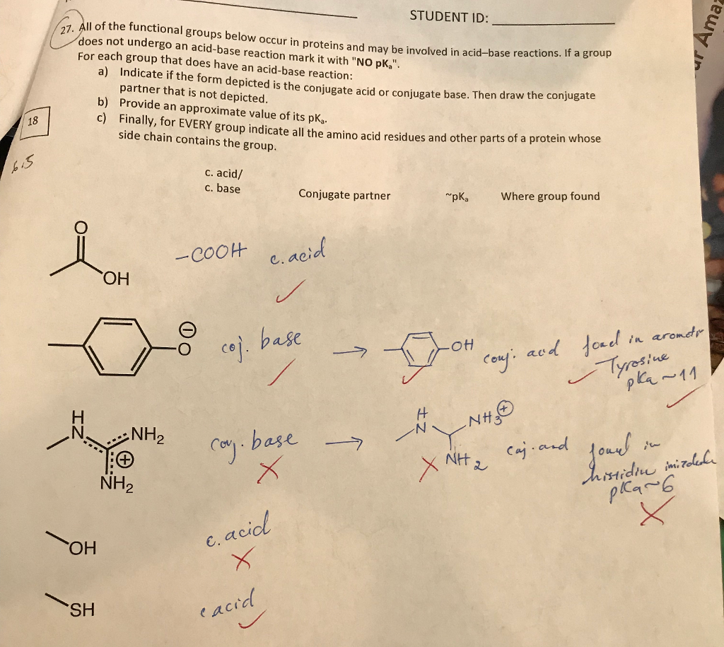 solved-student-id-il-of-the-functional-groups-below-occur-chegg