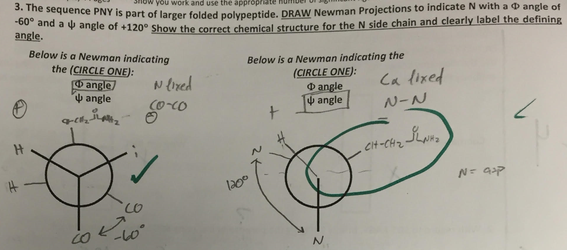 Solved Show in clear steps how to properly do the | Chegg.com