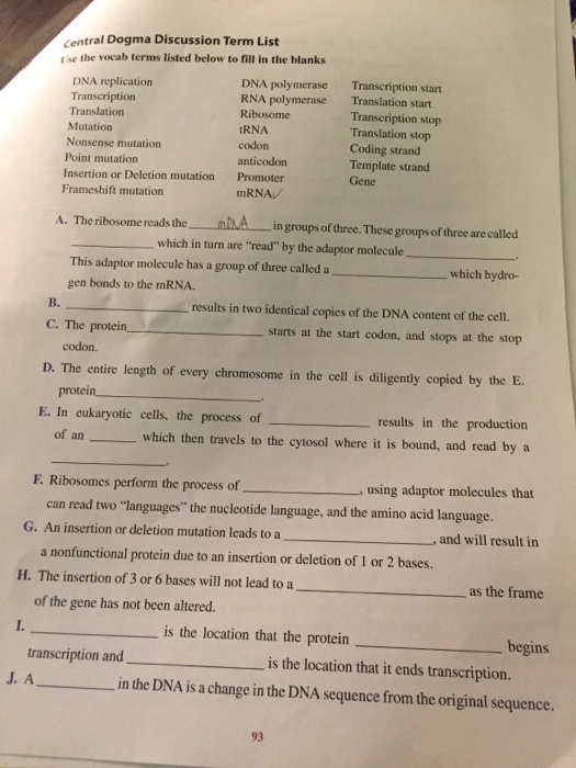 solved-central-dogma-discussion-term-list-the-vocab-terms-chegg