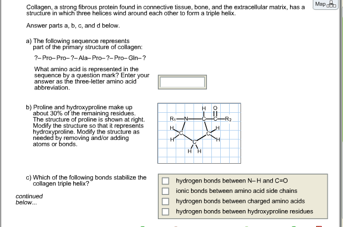 Solved: D) How Are Collagen Fibers( Formed From Many Colla... | Chegg.com