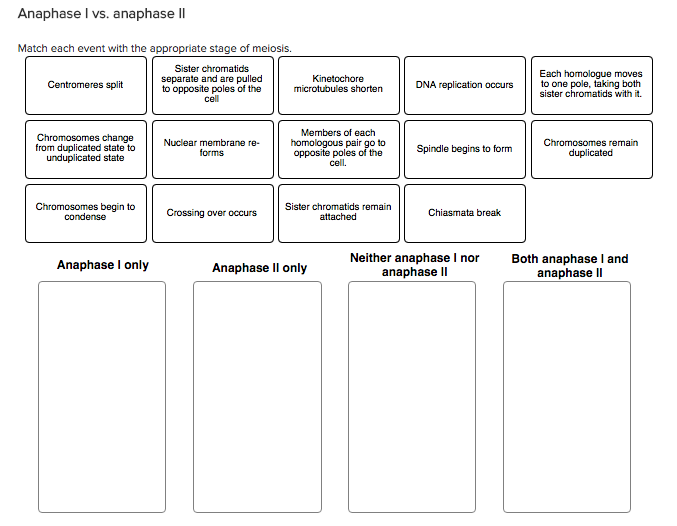 Solved Match each event with the appropriate stage of | Chegg.com