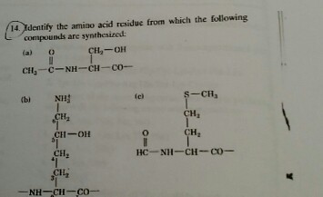 Solved Identify the amino acid residue from which the | Chegg.com