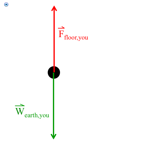 Solved Which is the free body diagram of you as you're | Chegg.com