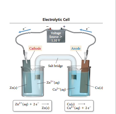 Solved Using the electrochemical cell from your experiments | Chegg.com