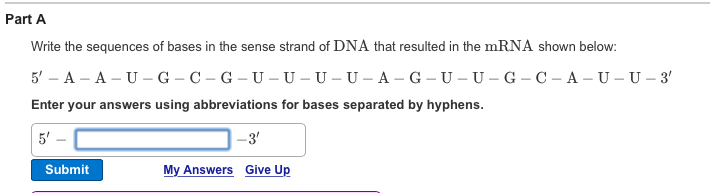 solved-write-the-sequences-of-bases-in-the-sense-strand-of-chegg