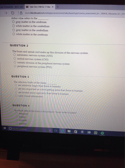 Solved Arbor vitae refers to the gray matter in the