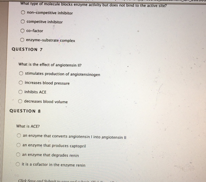 Solved QUESTION 1 What type of biomolecule is an enzyme? O