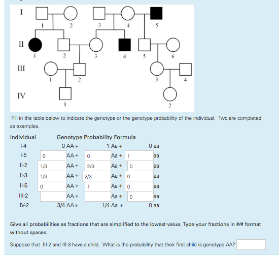 which answer is an example of a homozygous recessive genotype