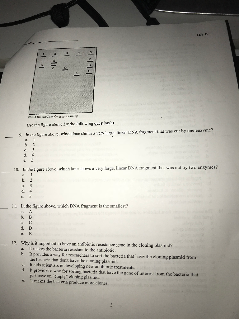 Solved Please Answer The Following Questions. Would Be | Chegg.com