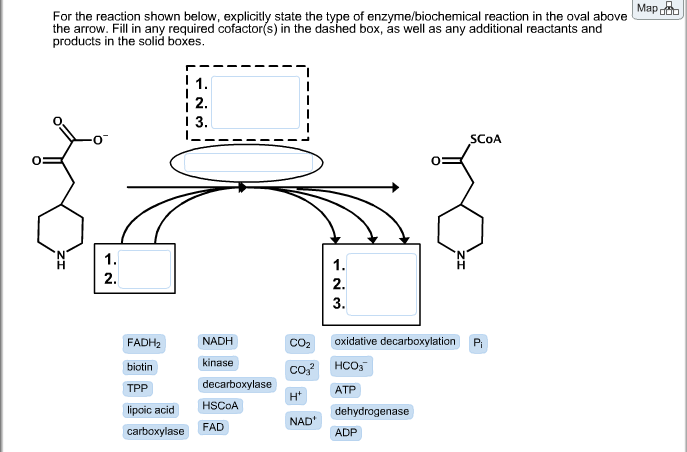 Solved For The Reaction Shown Below Explicitly State The