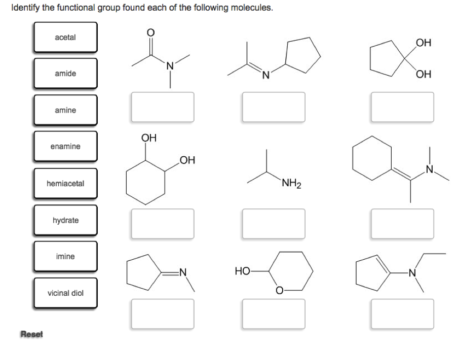 Solved Identify The Functional Group Found Each Of The