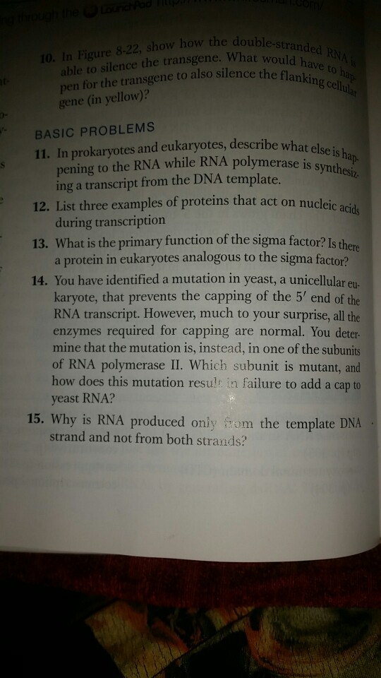 solved-able-to-silence-the-transgene-what-pen-for-the-chegg