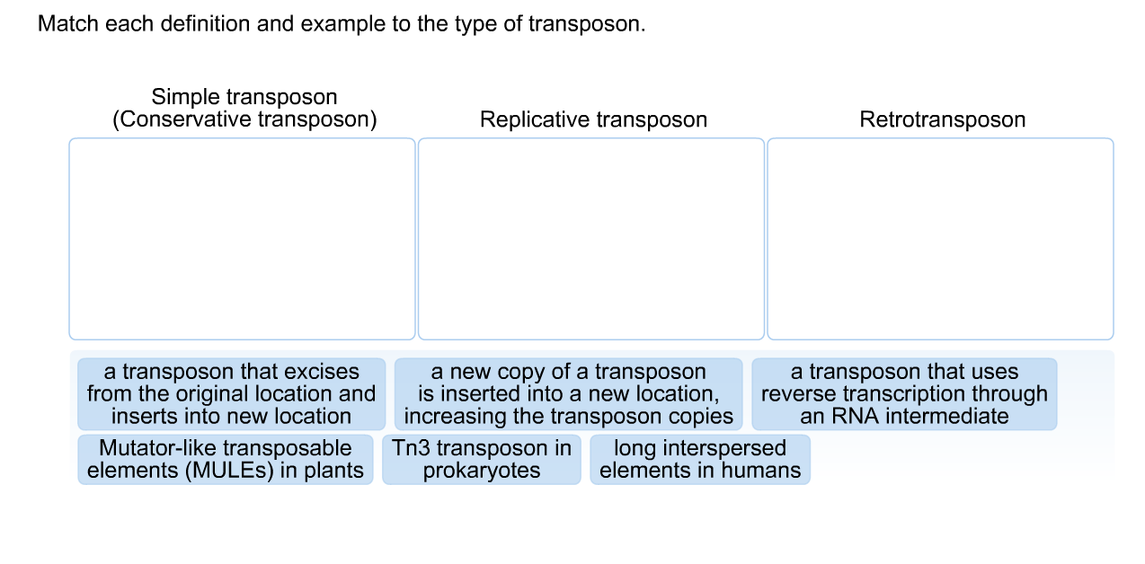 Solved Match each definition and example to the type of