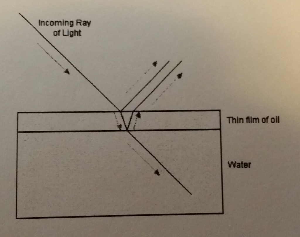 Solved A thin oil film floats on the surface of the water. | Chegg.com