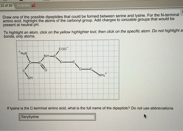 Solved Draw One Of The Possible Dipeptides That Could Be