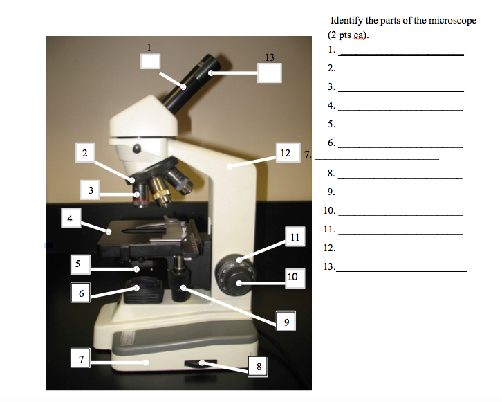 Solved Identify the parts of the microscope | Chegg.com