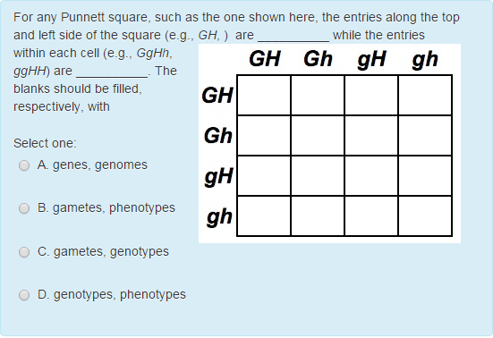 Solved For Any Punnett Square, Such As The One Shown Here, | Chegg.com