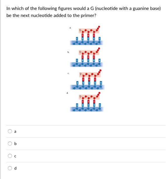 Which Of The Following Statements About Dna Synthesis Is True