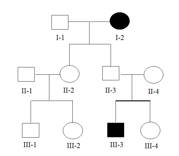 Solved Is it possible for III-3 to be affected by an | Chegg.com