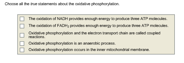 Choose all the true statements about the oxidative | Chegg.com