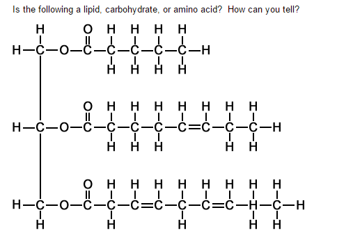 Solved Is the following a lipid, carbohydrate, or amino | Chegg.com