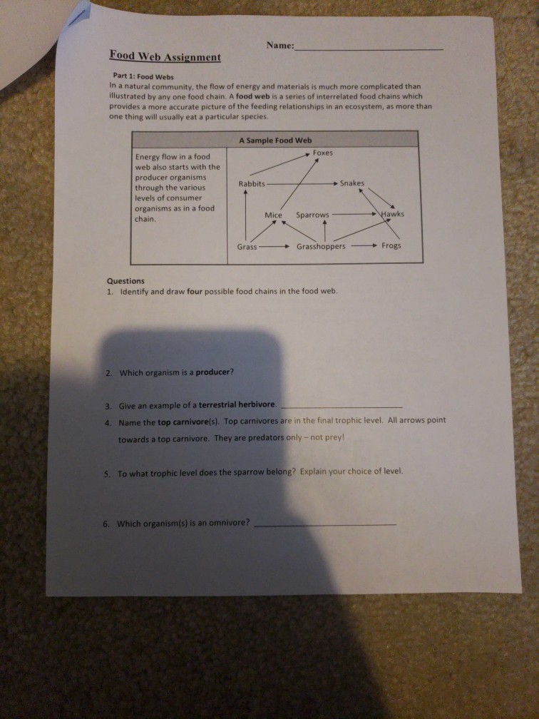 food web assignment grade 7