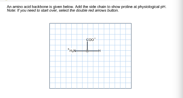 Solved An amino add backbone is given below. Add the side | Chegg.com