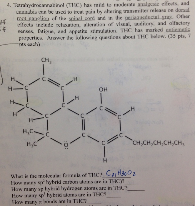 Solved Tetrahydrocannabinol (THC) Has Mild To Moderate | Chegg.com