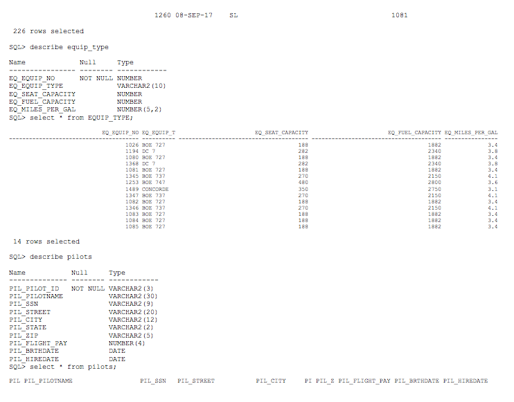 Tables and Associated Data SQL> describe ticket Name