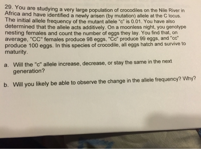 Chickens Listening to Music
