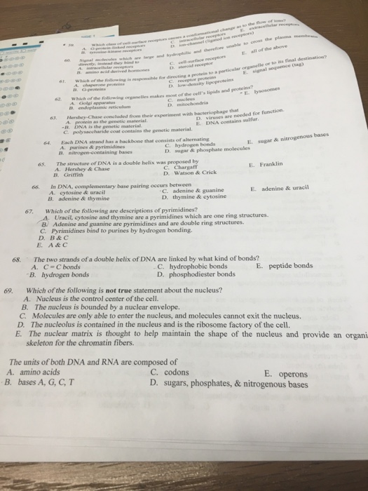 Solved: Which Of The Following Organelies Makes Most Of Th... | Chegg.com